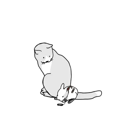 Profile image of 유서진