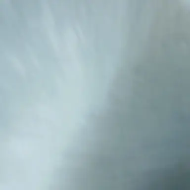 Profile image of 도넛