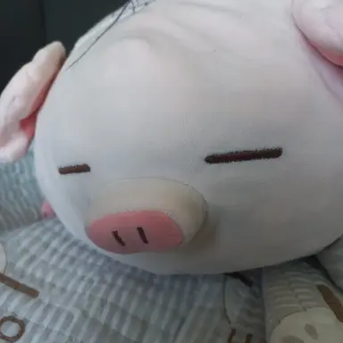 Profile image of 때지