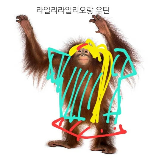 라랑우탄