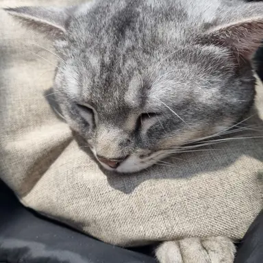 Profile image of 유저