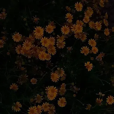 Profile image of 각별