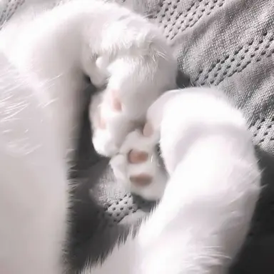 Profile image of 石田彰