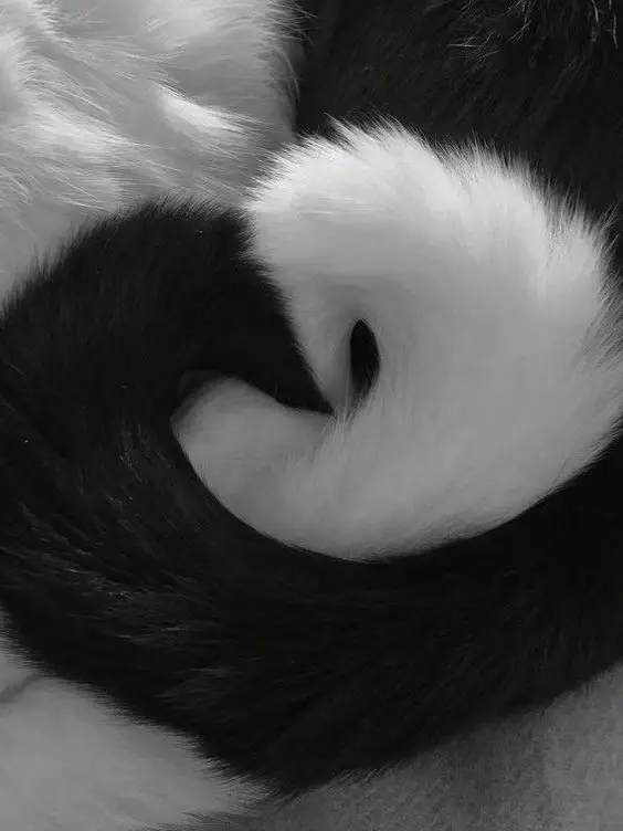 SappyAtom3192의 うちのお父さんはちょっぴり人見知り！