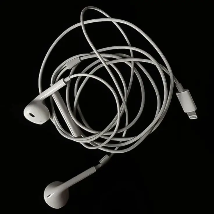 PastLives의 당신의 시선이 불편해요