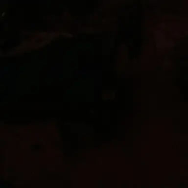 Profile image of Mito