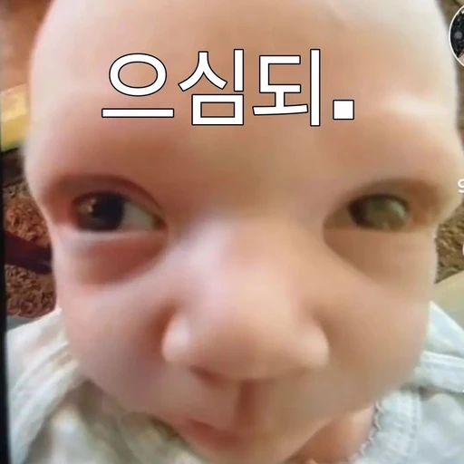 손은서