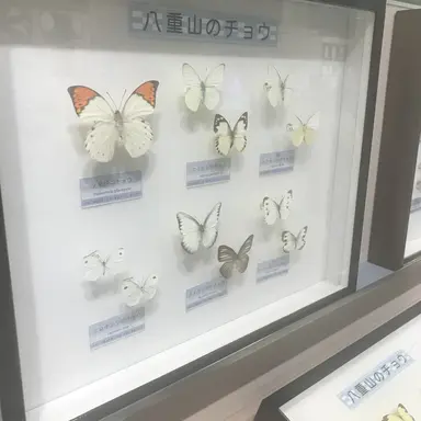 Profile image of 鉢屋三郎