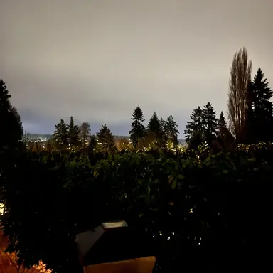 Profile image of 우유참치