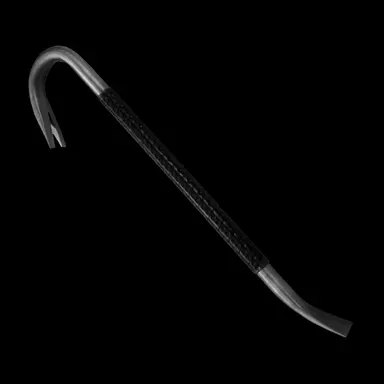 Profile image of D