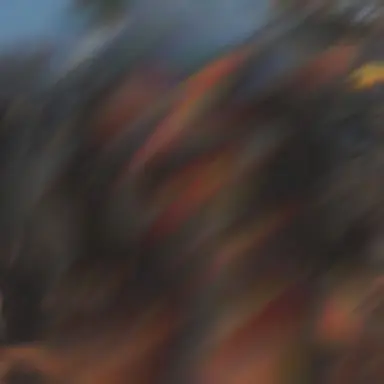 Profile image of ばんちゃん
