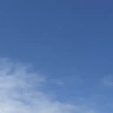 Profile image of 최립우