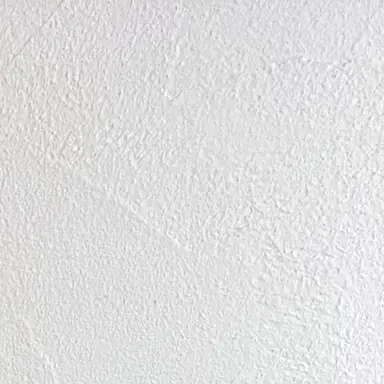 Profile image of 冴島カエデ