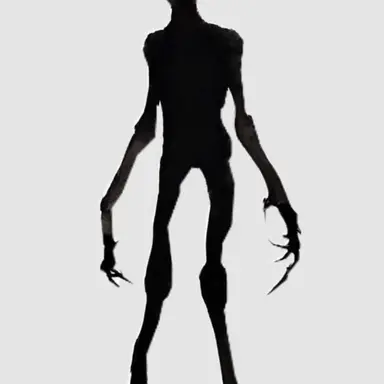 Profile image of Entity