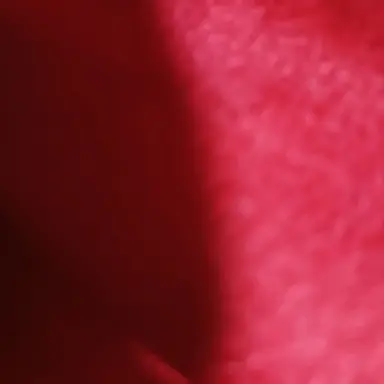 Profile image of ピエロ