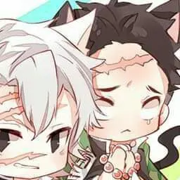 Profile image of 히메지마교메이