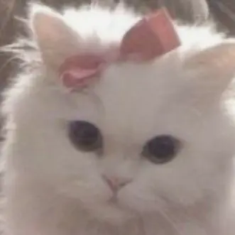 Profile image of 윤서연