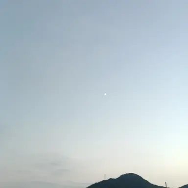Profile image of 츠무기