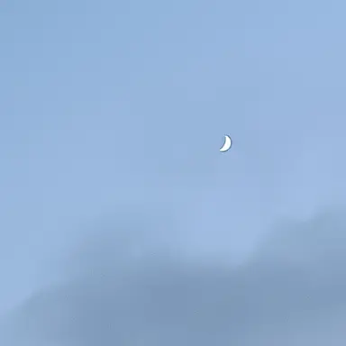 Profile image of 쿠로노 슈란
