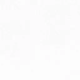 WryRice1806의 기숙사3인방