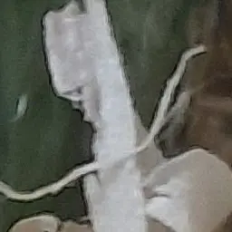 Profile image of 박늑대