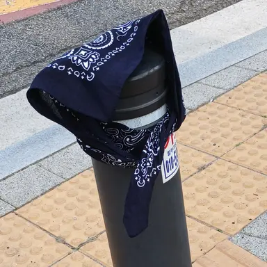 Profile image of 고중학교여우뇬들어옴