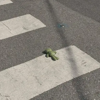 Profile image of 서라더