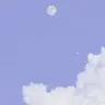 Profile image of wぁる