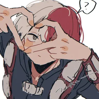 Profile image of Shoto Todoroki