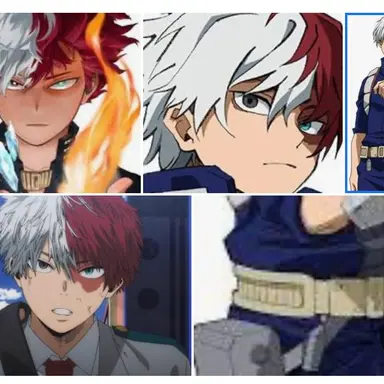 Profile image of Shoto todoroki