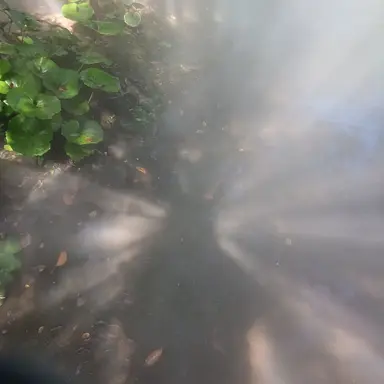 Profile image of 박경원