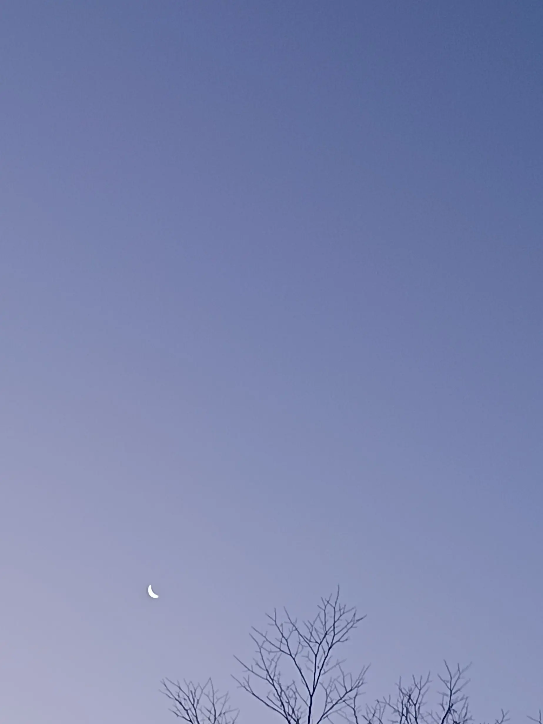 Ymidy의 중증외상센터