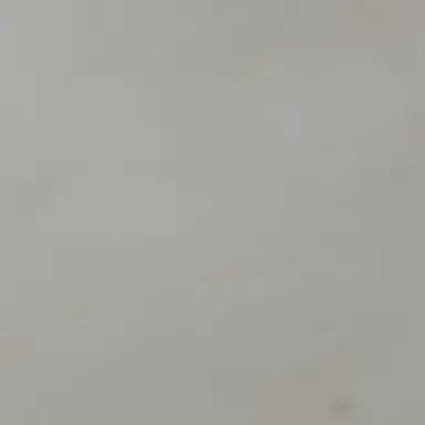 Profile image of 백강혁