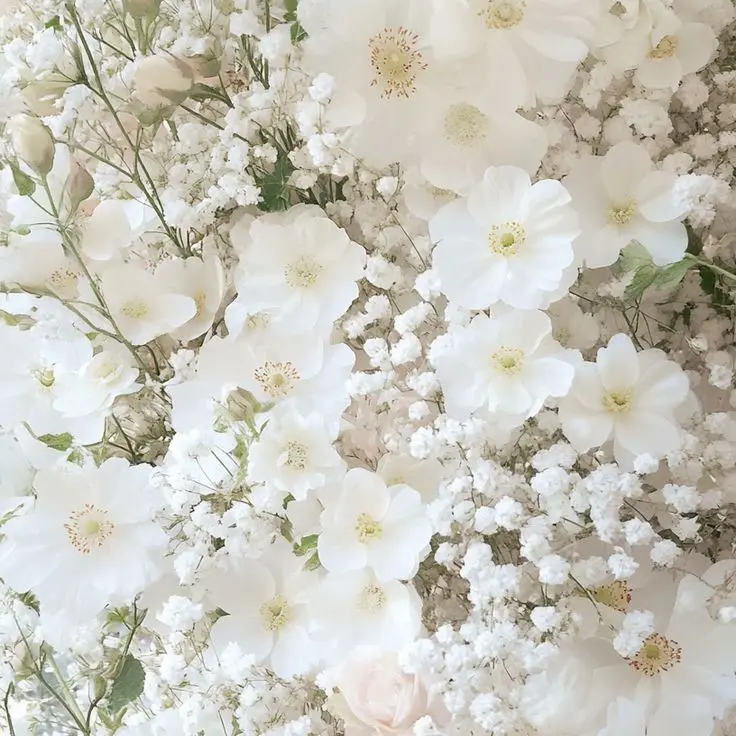 mino_Cookie의 スノスト病院