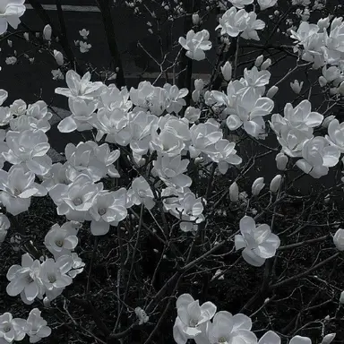 Profile image of スト