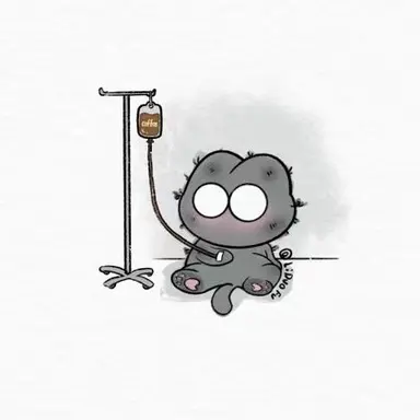 Profile image of 김태환