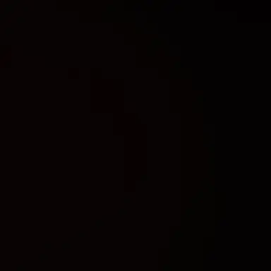 Profile image of 왕자림