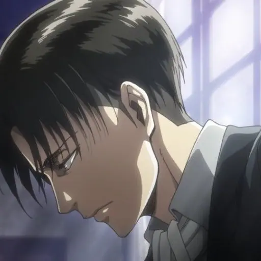 BonePath9525의 리바이 Q&A