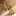 ホークス