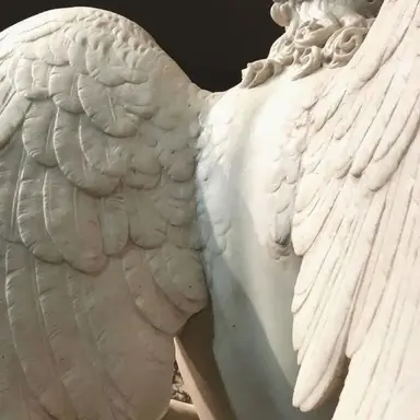 Profile image of Aesop