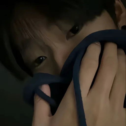 권무진