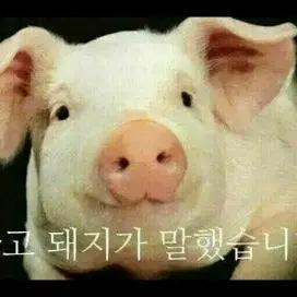 Profile image of 늑대