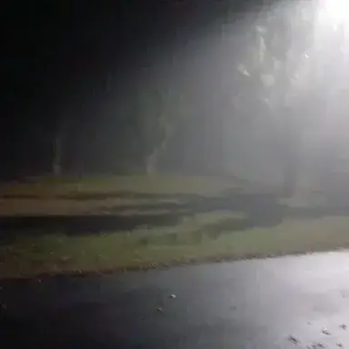 Profile image of TF141-Sh