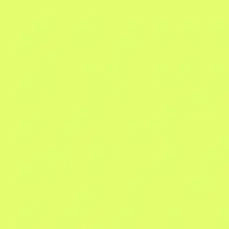 Profile image of 伊波ライ