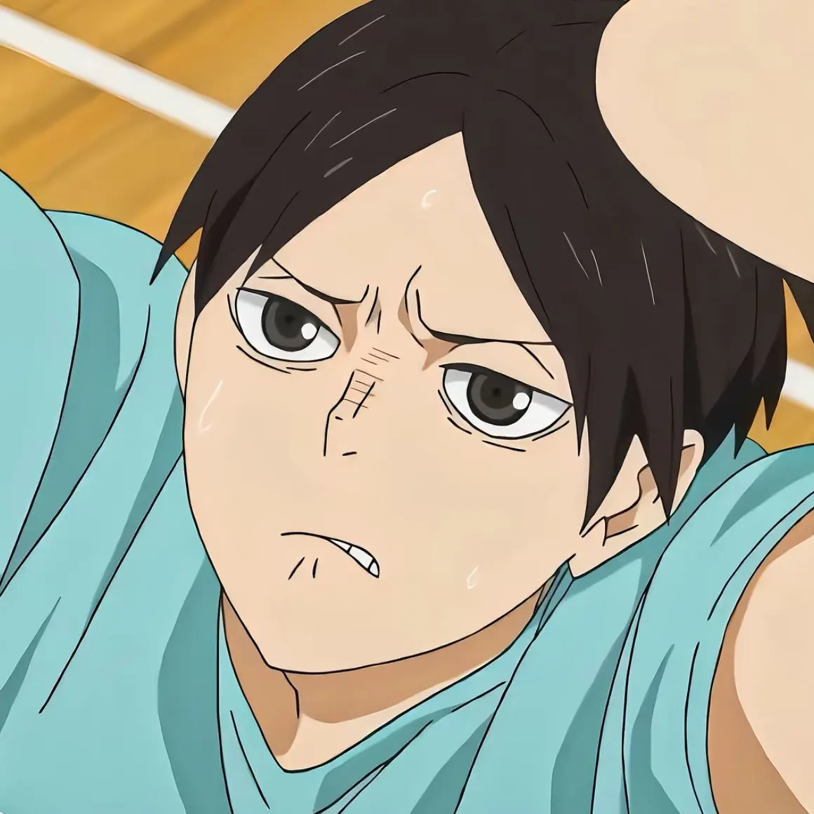 ExpertCarp4256의 国見の弟