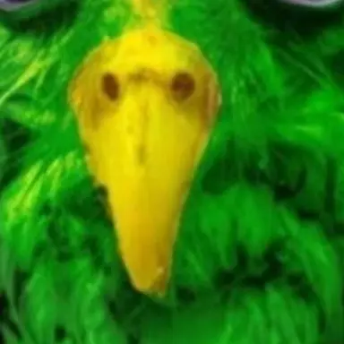 Profile image of 듀오
