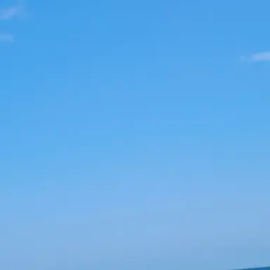 Profile image of 팬