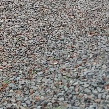 Profile image of 악플러