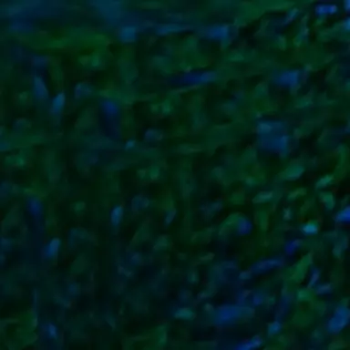 Profile image of 사생팬