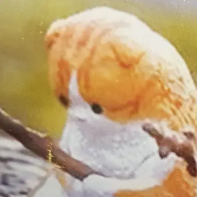 Profile image of 김민정